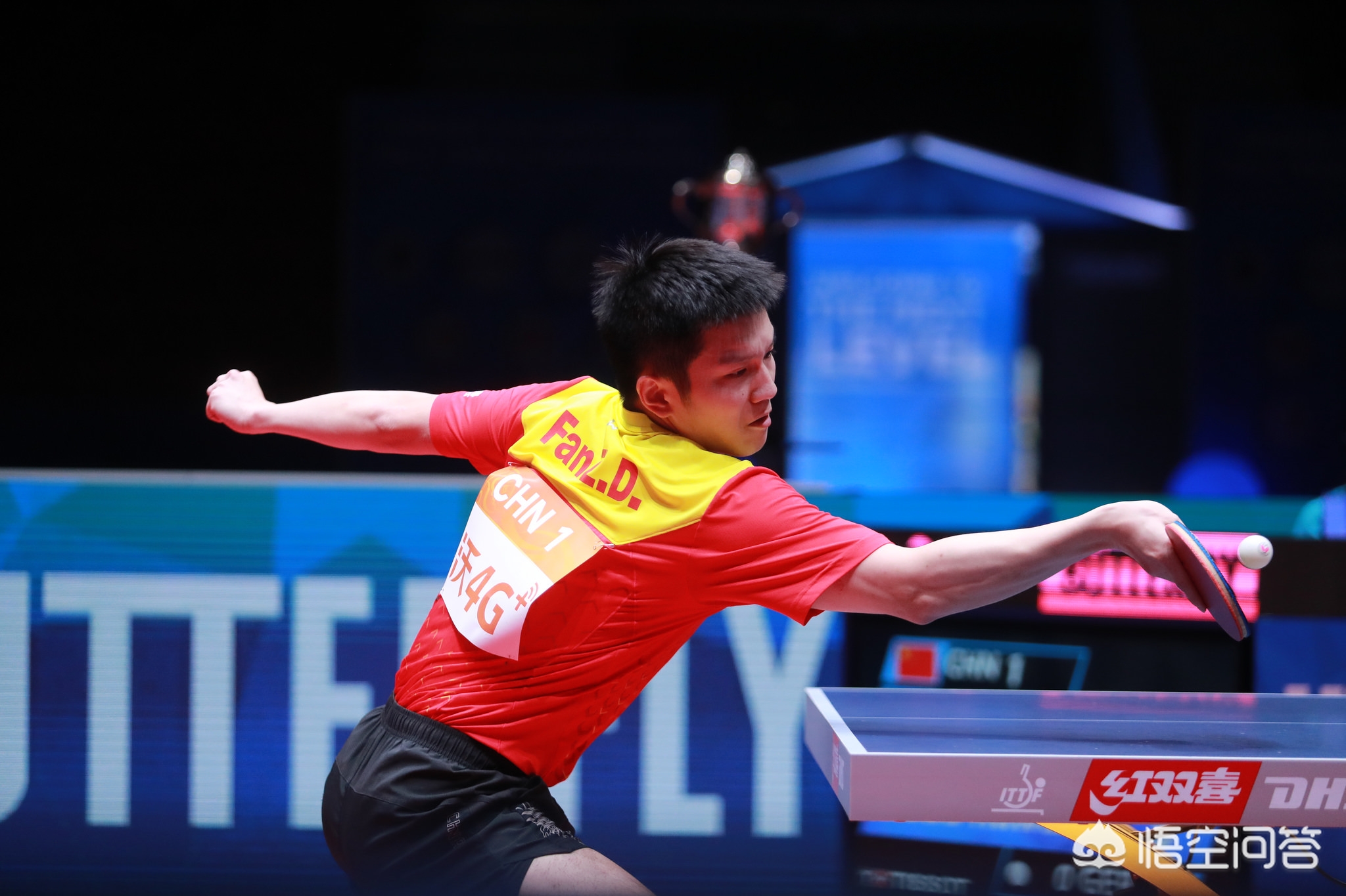 为大家敲响 为大家敲响